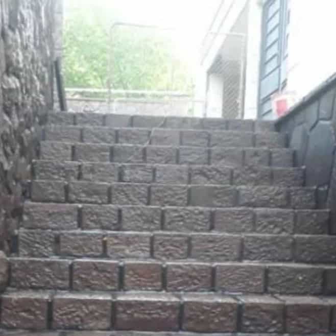 1750058624494.webp