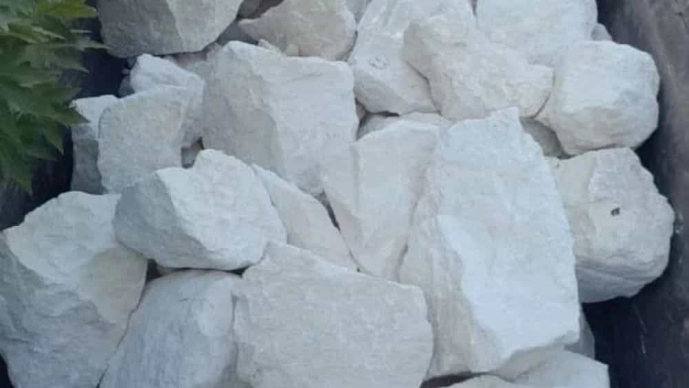 قیمت سنگ مالون، سنگ لاشه و فروش سنگ تن در تهران